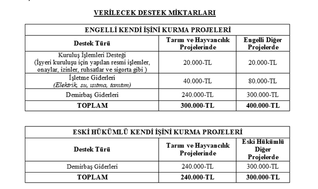 İşkur’a Engelli Ve Eski Hükümlülere Yönelik Proje Destekleri İçin Başvurular Alınmaya Başladı
