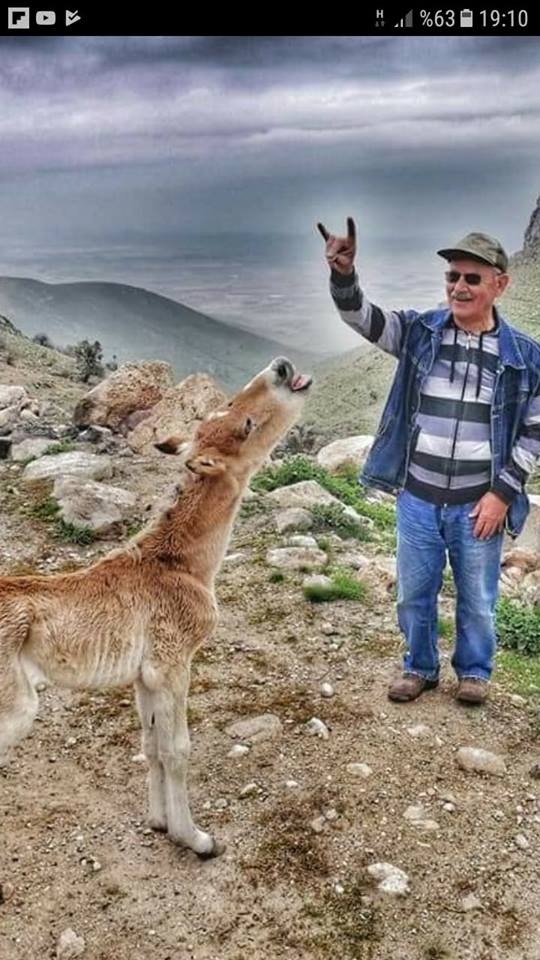 İSMAİL ÖZSOY'U KAYBETTİK