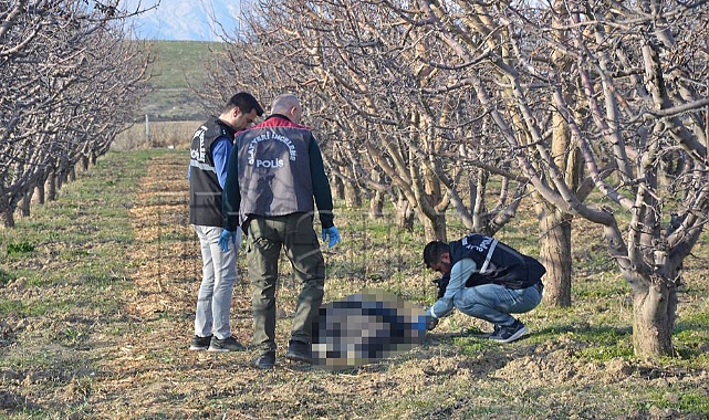 Karaman'da bir kişi bahçede ölü bulundu
