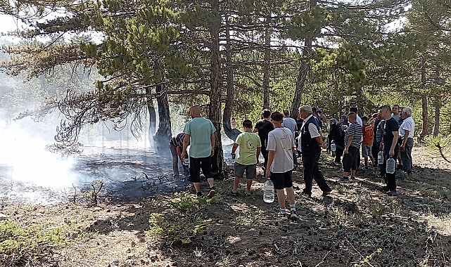 Karaman'da Orman Yangın! Vatandaşlar Büyük Yangını Önledi