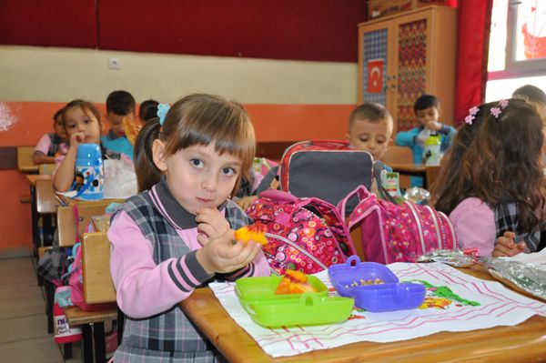 2012-2013 EĞİTİM YILI