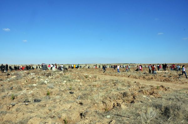 FİDANLAR TOPRAKLA BULUŞTU