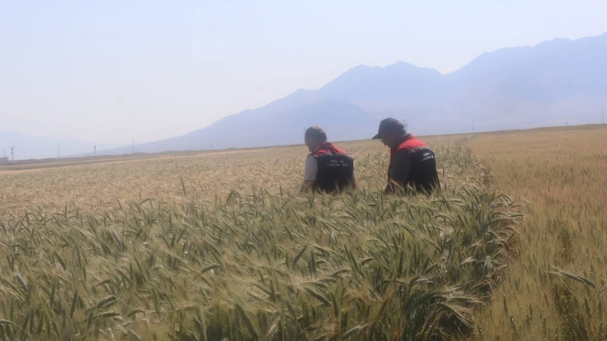 Dede yadigarı tohumları toprakla buluşturdu-1