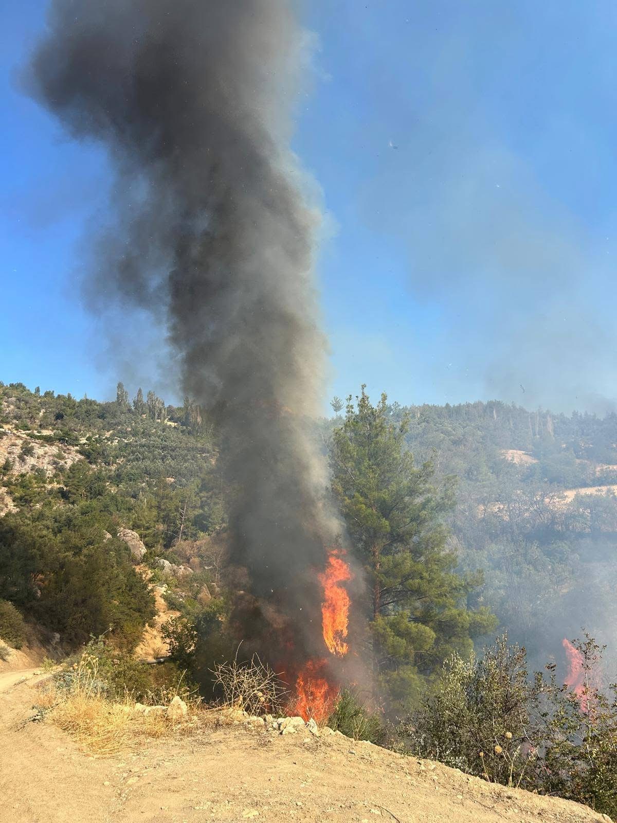 Ermenek’teki orman yangını kontrol altına alındı-3