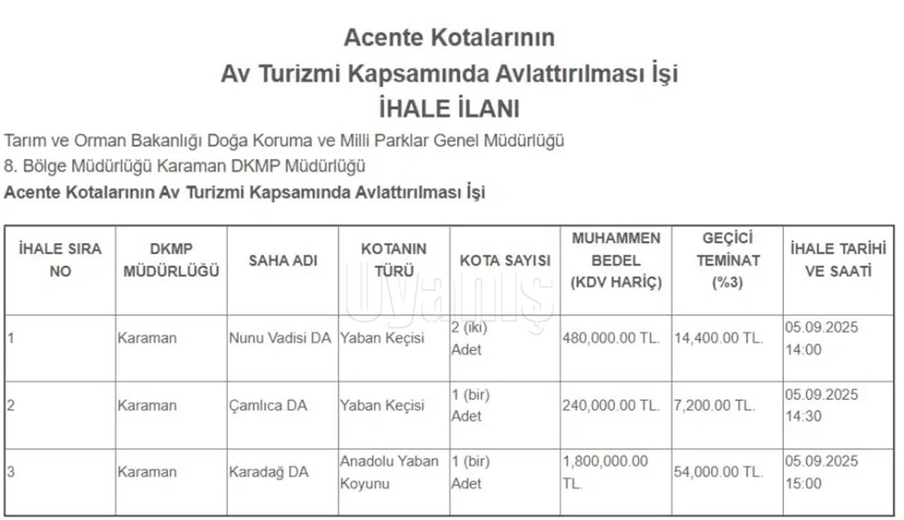 1.8 Milyon TL Ödeyen Karadağ'daki Bu Yaban Koyununu Avlayacak-1