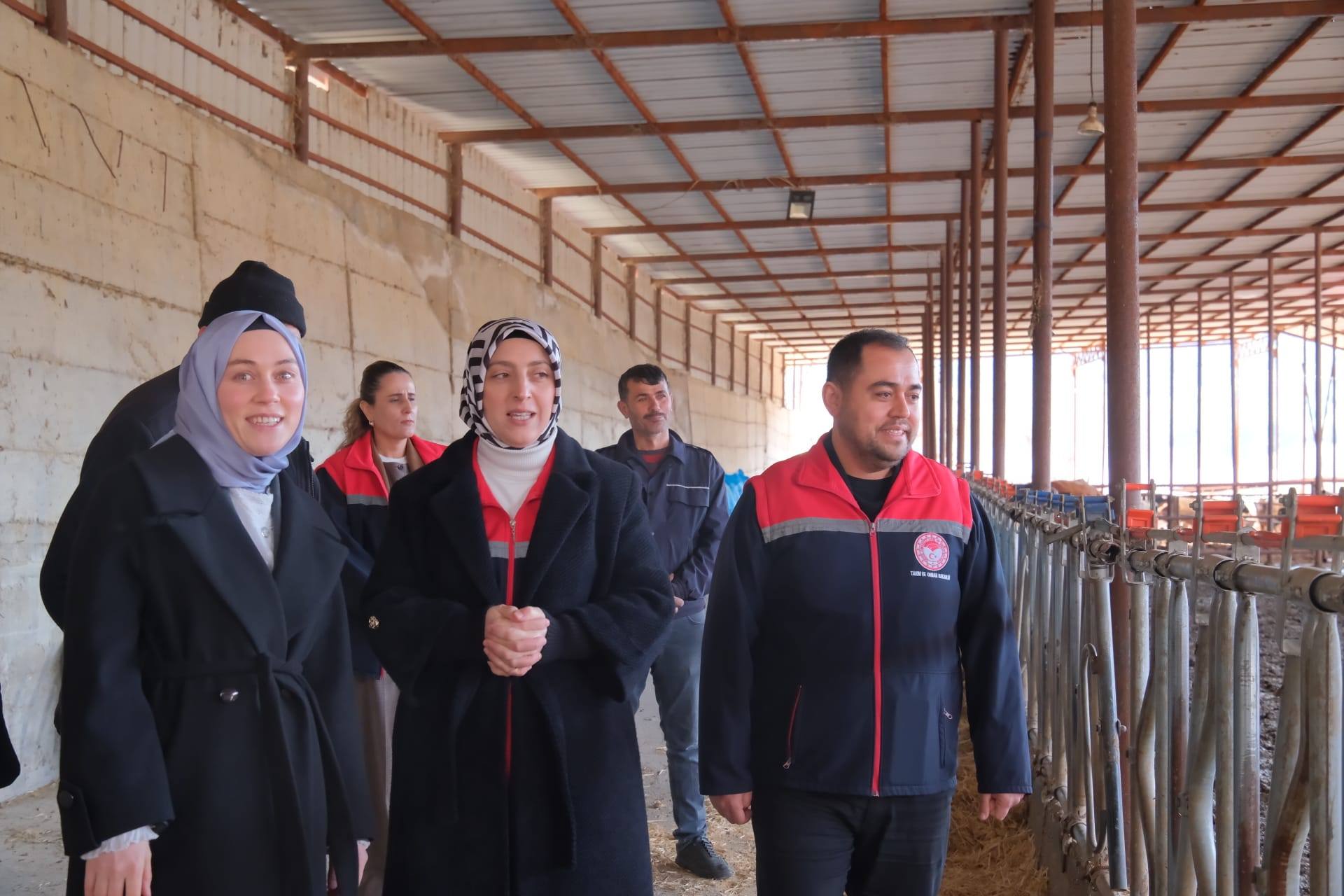 Tarım ve Orman İl Müdürü Bulut Başyayla’da-5