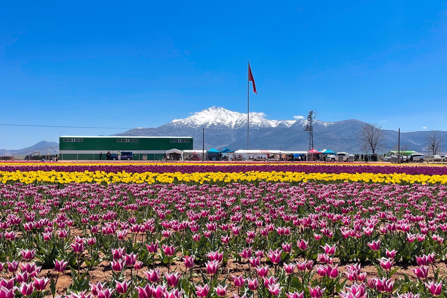 Vali Çiçek Lale Bahçesini Ziyaret Etti-8