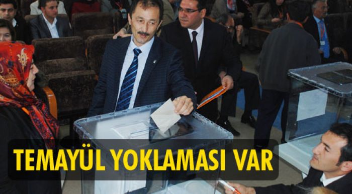 1 Mart’ta Temayül Yoklaması Var
