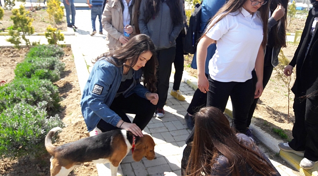HAYVAN BARINAĞINDA ŞEFKAT GÖSTERDİLER