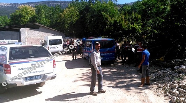 354 KÖK KENEVİR BULUNDU