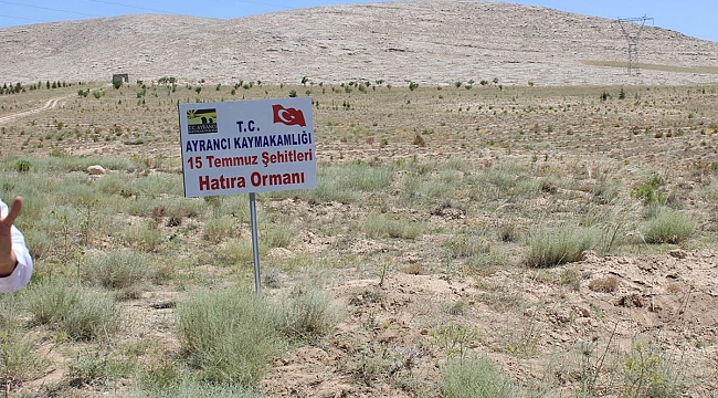 AYRANCI’DA ŞEHİTLER İÇİN HATIRA ORMANI OLUŞTURULDU