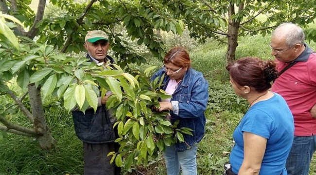 ENTEGRE İLE MÜCADELE ÖNERİSİ