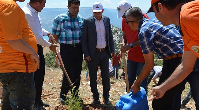 ERMENEK’DE “ŞEHİTLER İÇİN HATIRA ORMANI” AĞAÇLANDIRILDI