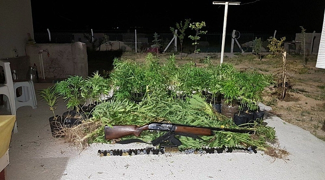 JANDARMADAN UYUŞTURUCU OPERASYONU