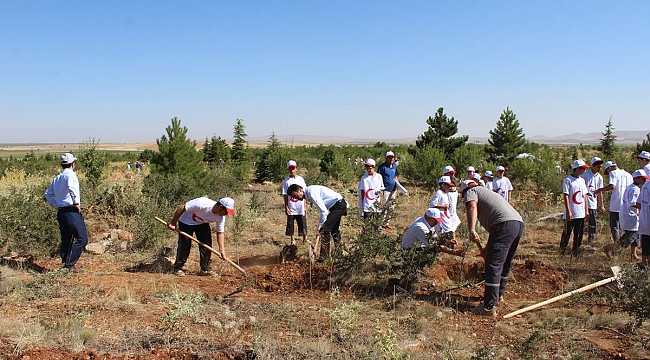 KAZIMKARABEKİR’DE ŞEHİTLER İÇİN FİDAN DİKİLDİ