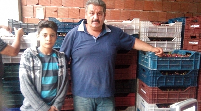 KİRAZ SARIVELİLER’DE TAVAN YAPTI