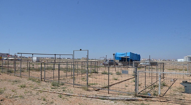 KURBAN PAZARINDA SAKİNLİK HAKİM