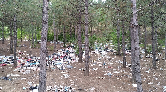 TEMİZLİK KAMPANYASINA DAVET