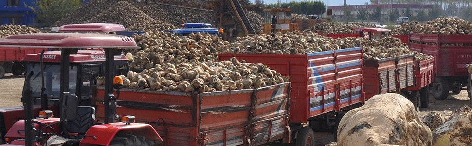 KARAMAN PANCAR ÜRETİCİLERİ, PANCAR KANTARLARININ AÇILMASINI İSTİYOR 