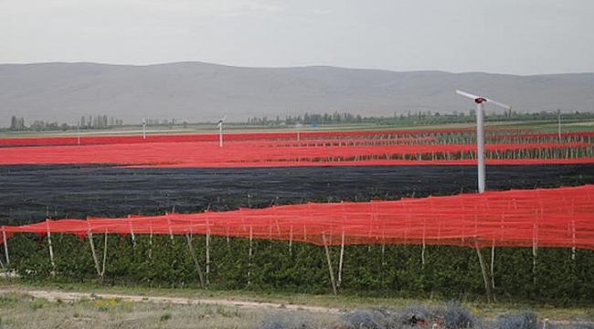 TARIMA DAYALI EKONOMİK YATIRIMLAR AÇIKLANDI