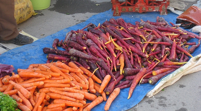 KARAMAN HAVUÇ ÜRETİMİNDE 6. OLDU