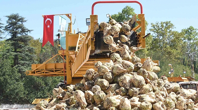 ŞEKERPANCARI ÜRETİMİNDE KARAMAN 7. OLDU