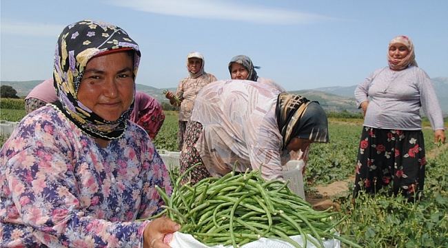 TZOB'DAN KADIN ÇİFTÇİLERE POZİTİF AYRIMCILIK TALEBİ