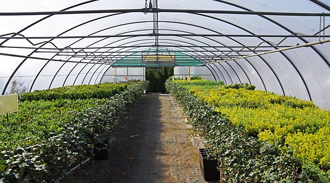 KARAMAN’DA SERACILIĞA 1 MİLYON 335 BİN TL HİBE SAĞLANDI