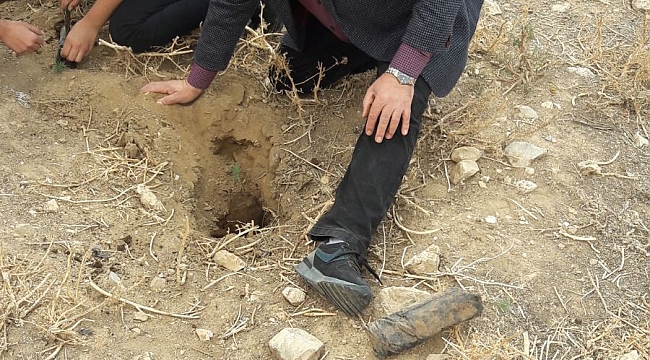 ODALAR BİRLİĞİ FİDAN DİKTİ