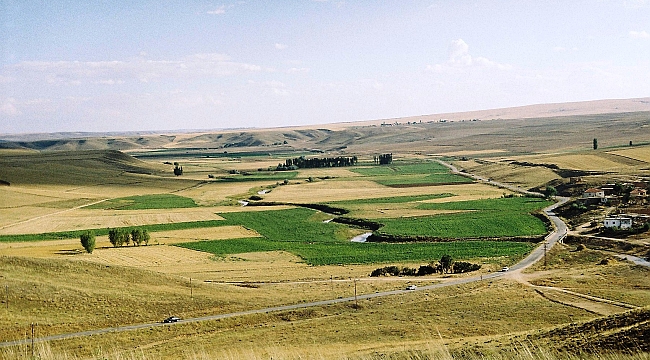 MİLLİ EMLAK MÜDÜRLÜĞÜ 14 TAŞINMAZI TARIMSAL AMAÇLA KİRAYA VERİYOR