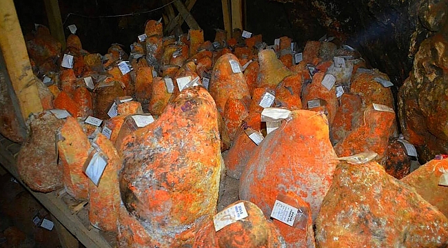 ÜRETİM SÜREÇLERİ ANLATILDI