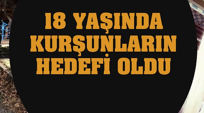 KARAMAN'DA CİNAYET