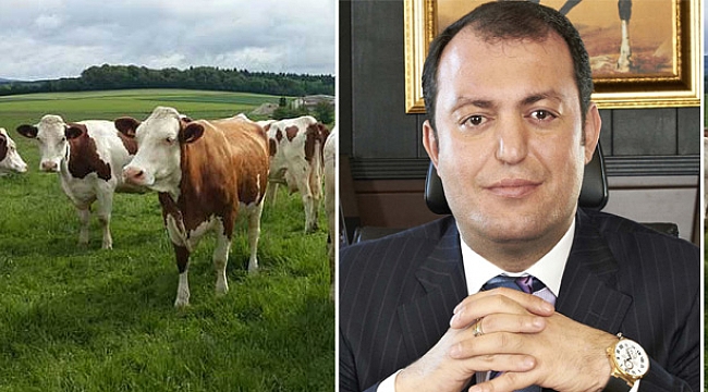 ŞİMŞEK BİSKÜVİ’DEN HAYVANCILIĞA DEV YATIRIM
