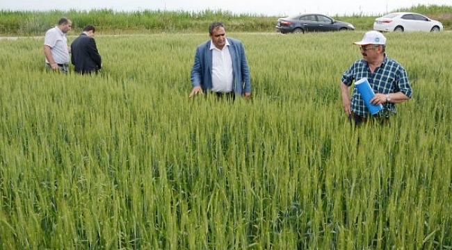 TARIMSAL DESTEKLERE SIKI DENETİM GELİYOR