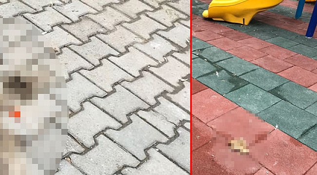 MERKEZİN GÖBEĞİNDEKİ PARK İÇİN VATANDAŞ TEPKİSİ