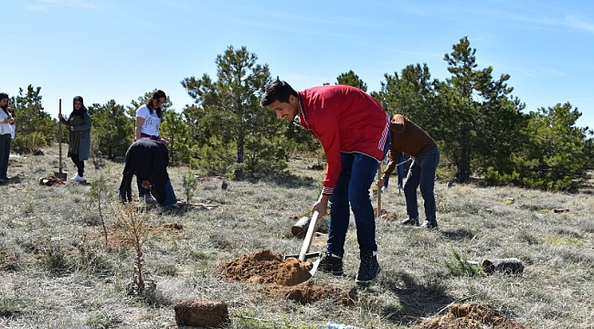 GENÇLİK KULÜBÜ GÖNÜLLÜLERİ FİDAN DİKTİ