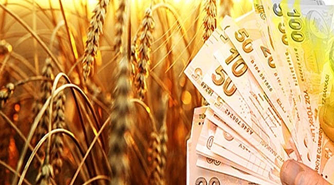 HUBABAT DESTEK ÖDEMELERİ YAPILIYOR
