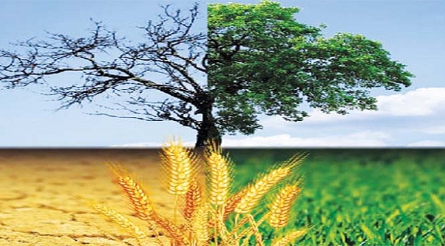 KARAMANLI ÇİFTÇİLER KURAKLIĞA ÇARE ARIYOR