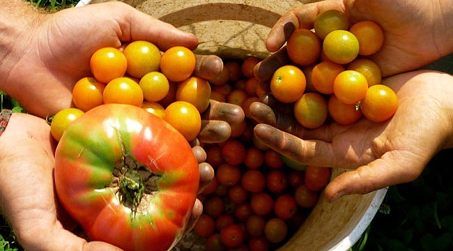 KMÜ’DE ORGANİK TARIM SÖYLEŞİSİ