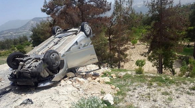 YOLA ÇIKAN DOMUZ SÜRÜSÜ KAZAYA SEBEP OLDU