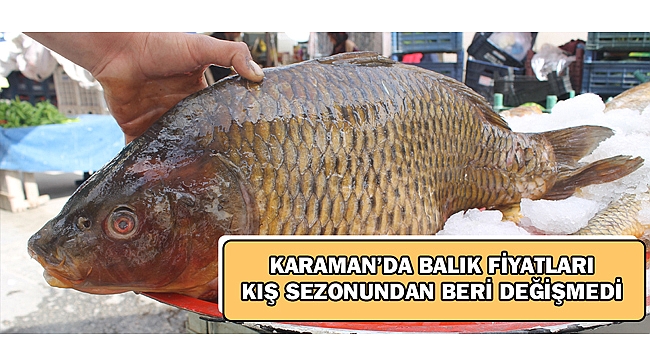 KARAMAN'DA  BALIK FİYATLARI KIŞTAN BUYANA DEĞİŞMEDİ