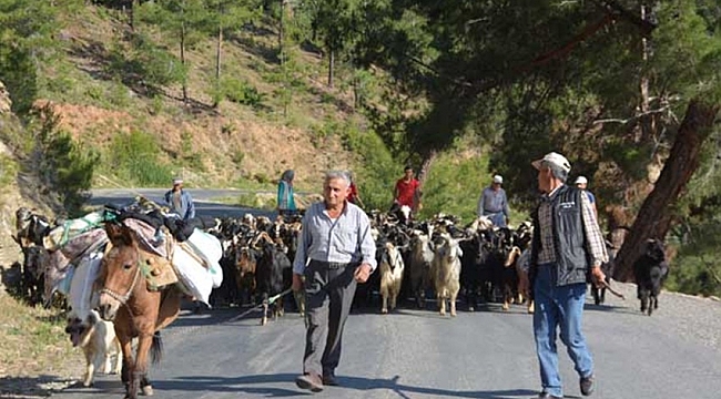 YÖRÜKLERİN YAYLALARA GÖÇÜ BAŞLADI