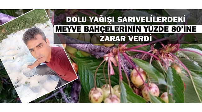 DOLU YAĞIŞI SARIVELİLER'DEKİ MEYVE BAHÇELERİNİN YÜZDE 80’İNE ZARAR VERDİ