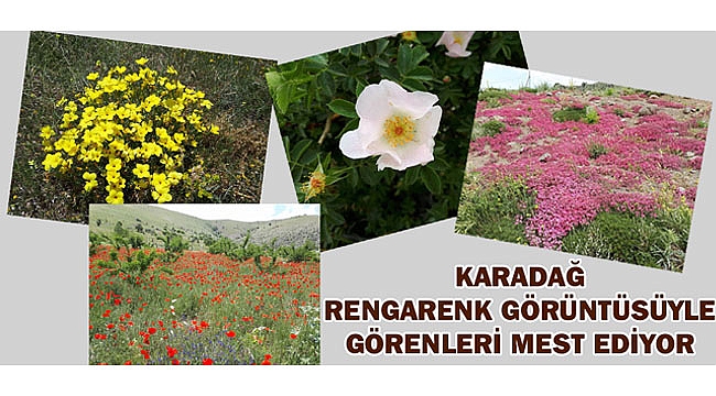 KARADAĞ RENGARENK GÖRÜNTÜSÜYLE GÖRENLERİ MEST EDİYOR