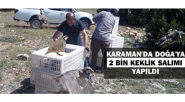 KARAMAN&#039;DA DOĞA&#039;YA 2 BİN KEKLİK SALIMI YAPILDI