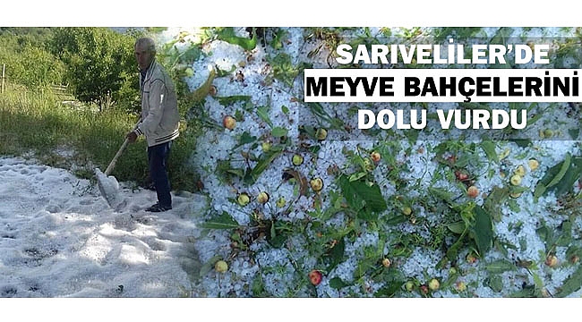 SARIVELİLER’DE MEYVE BAHÇELERİNİ DOLU VURDU