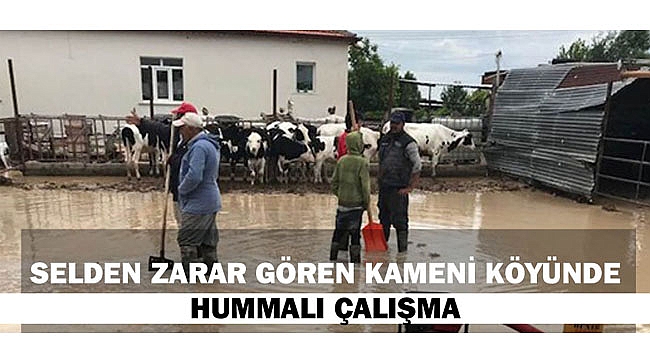SELDEN ZARAR GÖREN KAMENİ KÖYÜNDE HUMMALI ÇALIŞMA