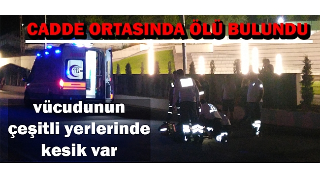 VÜCUDUNUN ÇEŞİTLİ YERLERİNDE KESİK BULUNAN BİR KİŞİ CADDE ORTASINDA ÖLÜ BULUNDU