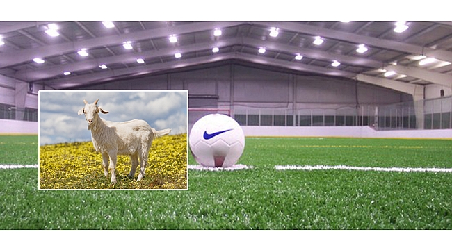 BU FUTBOL TURNUVASININ ÖDÜLÜ ‘KEÇİ’