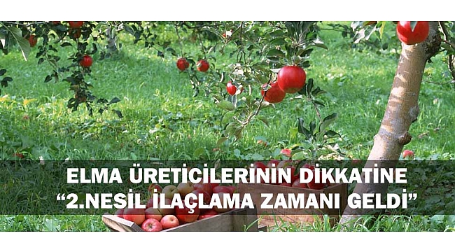 ELMA ÜRETİCİLERİNİN DİKKATİNE: “2.NESİL İLAÇLAMA ZAMANI GELDİ”